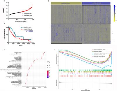 Identification of the Roles of a Stemness Index Based on mRNA Expression in the Prognosis and Metabolic Reprograming of Pancreatic Ductal Adenocarcinoma